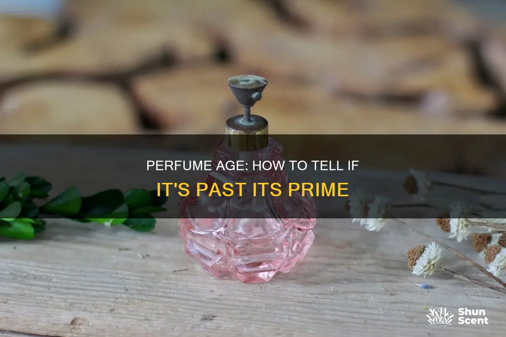 how to tell how old a perfume is