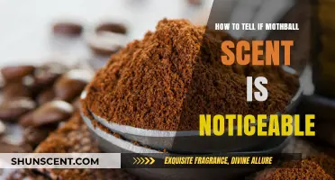 Detecting Mothball Odor: Tips to Identify Lingering Smells in Your Space
