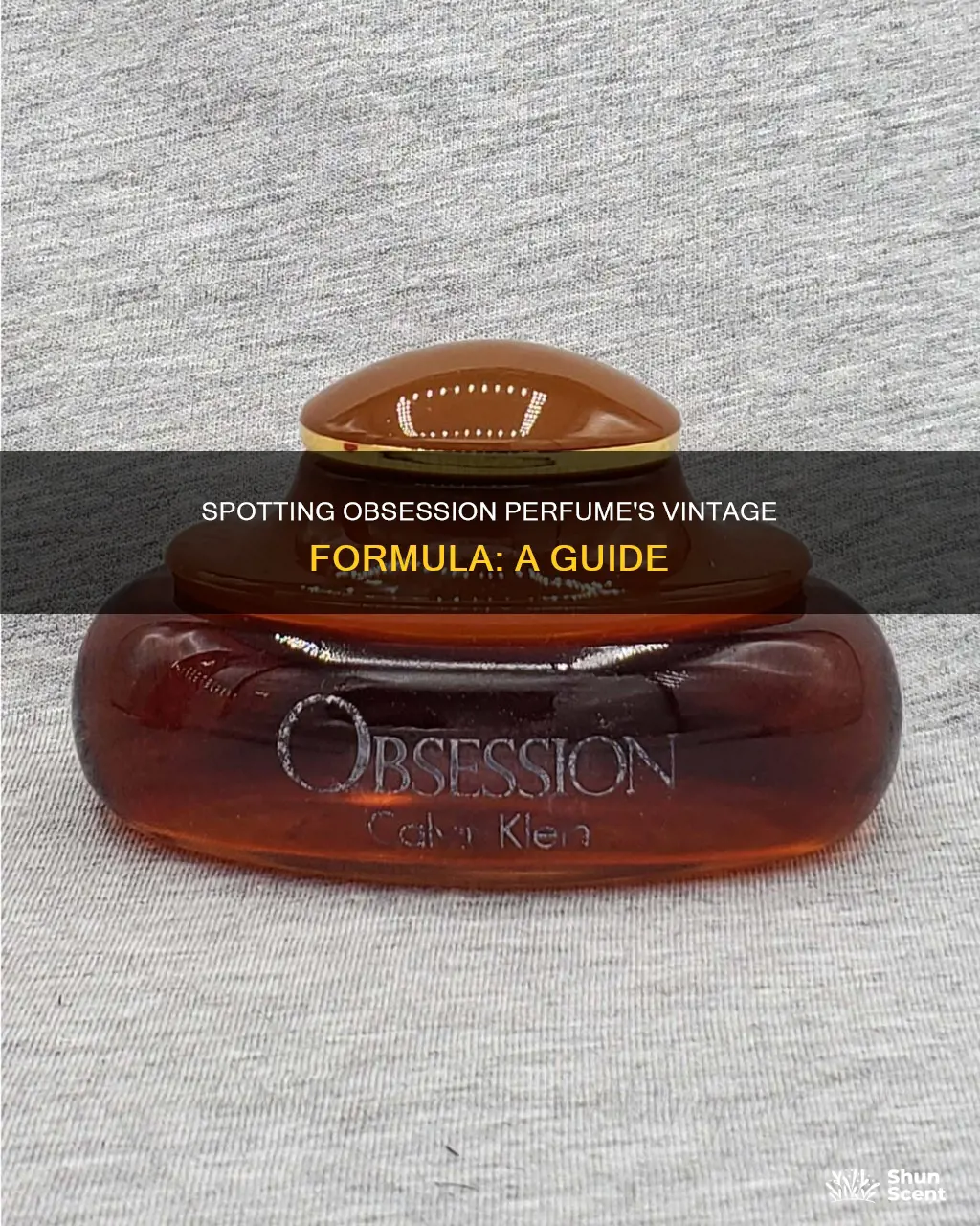 how to tell if obsession perfume is vintage formula