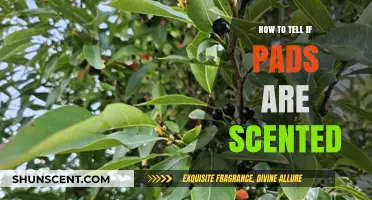 Identifying Scented Pads: A Quick Guide to Check for Fragrances
