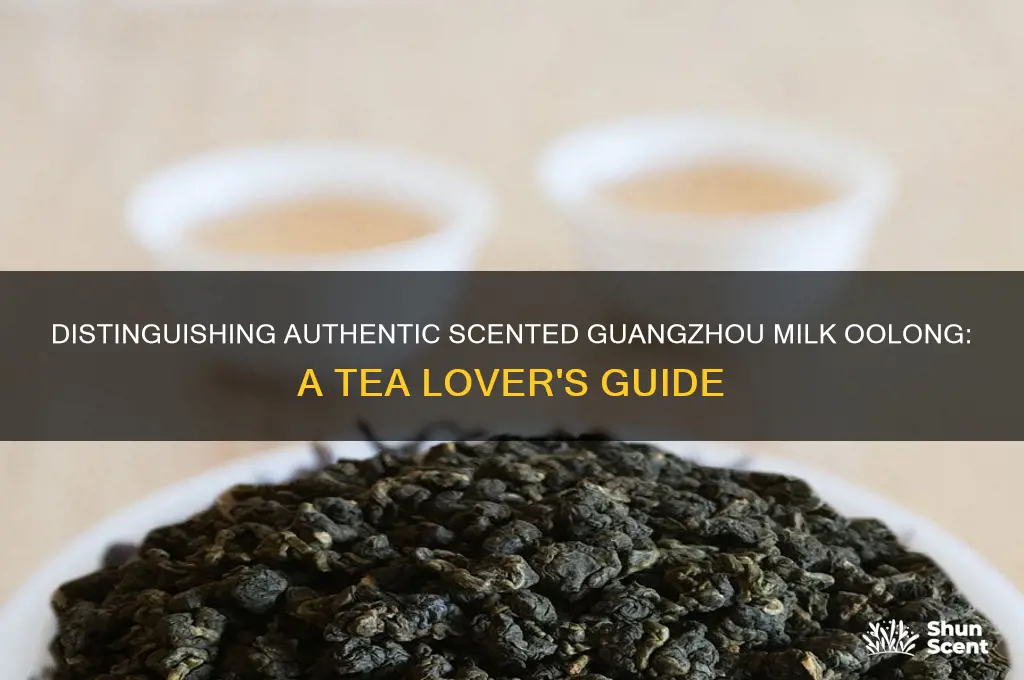 how to tell real from scented quangzhou milk oolong