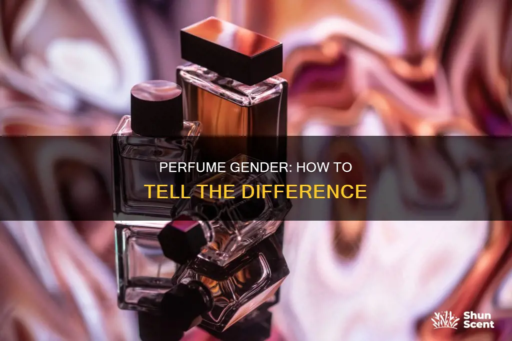 how to tell the difference between male and female perfume