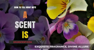 Decoding Scents: Identifying the Musical Note Behind Every Fragrance