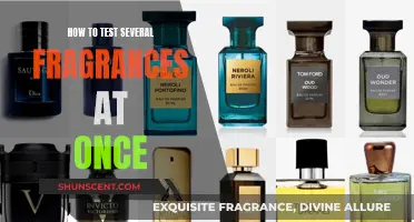 Mastering the Art of Fragrance Sampling: A Guide to Testing Multiple Scents