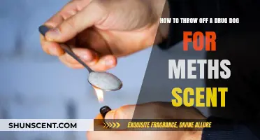 Concealing Meth Scents: Effective Strategies to Evade Drug Detection Dogs