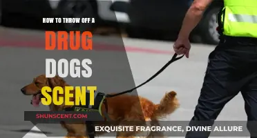 Effective Strategies to Evade Drug Detection by Canine Units