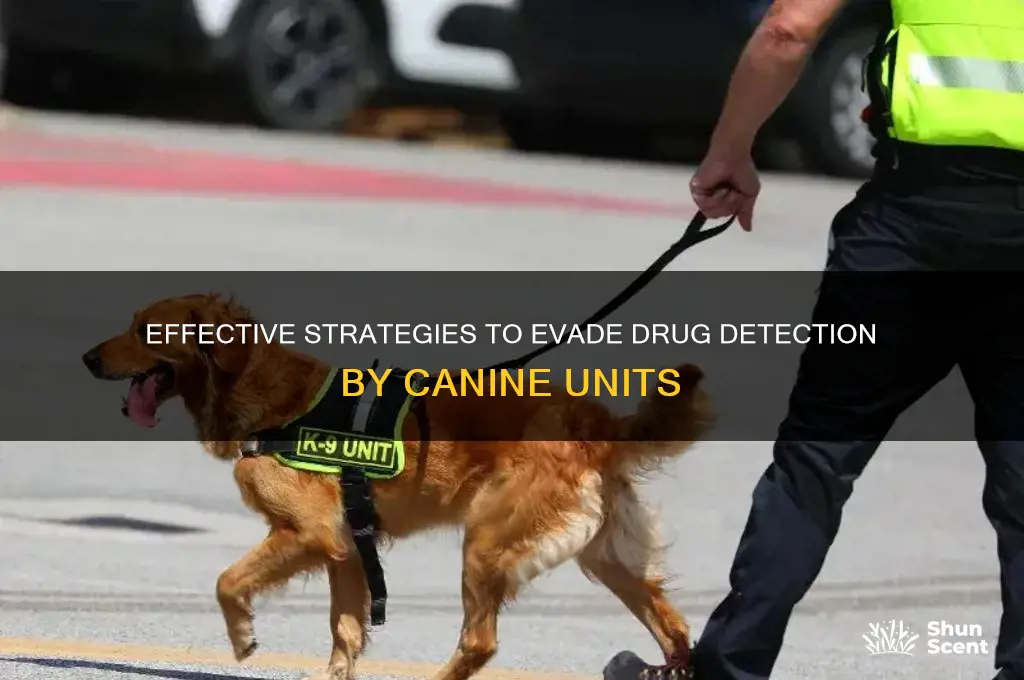 how to throw off a drug dogs scent