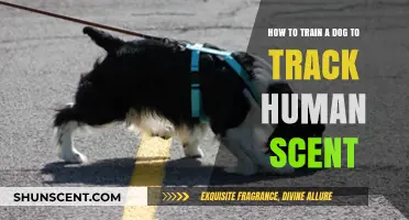 Mastering Canine Scent Tracking: Training Your Dog to Follow Human Scents