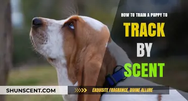Master Puppy Scent Tracking: Essential Training Tips for Beginners