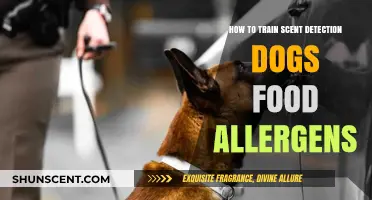 Training Scent Detection Dogs to Identify Food Allergens Effectively