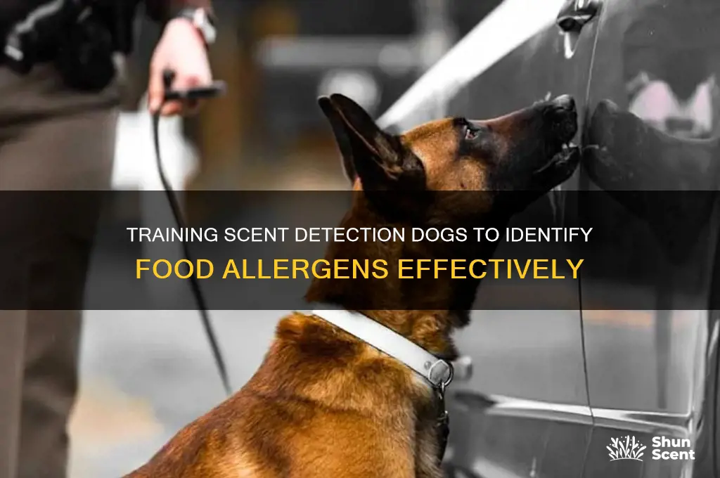 how to train scent detection dogs food allergens