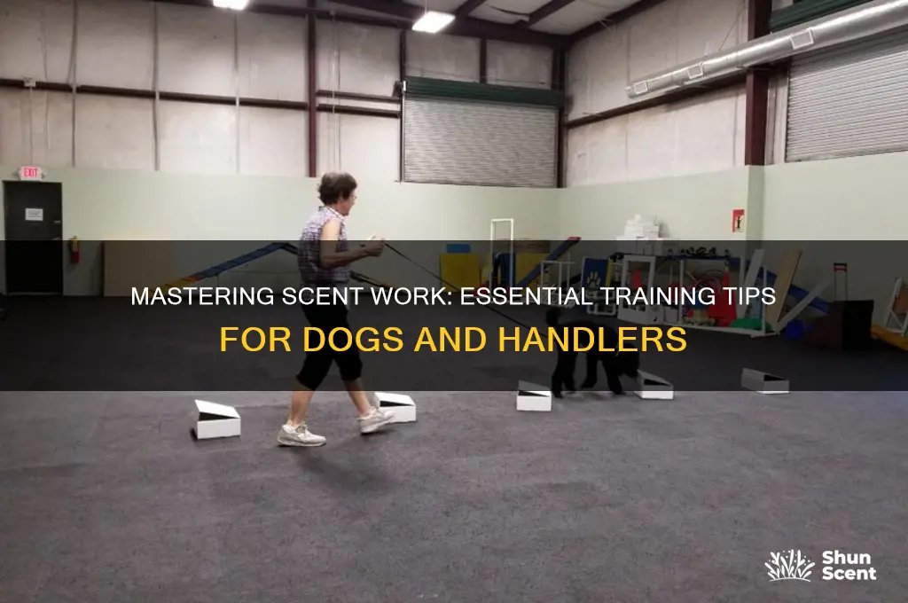 how to train scent work