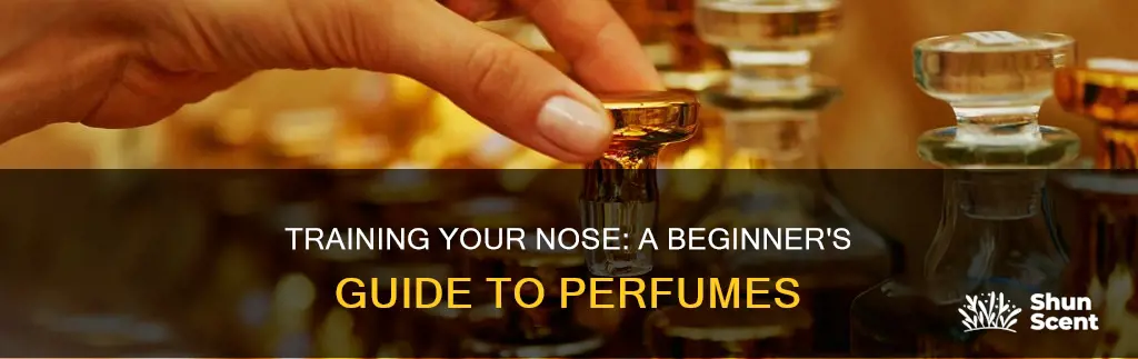 how to train your nose for perfume