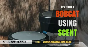Effective Bobcat Trapping Techniques: Utilizing Scent to Lure and Capture