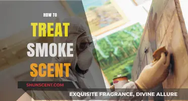 Effective Ways to Eliminate Lingering Smoke Smell from Your Space