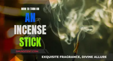 Lighting Incense: A Beginner's Guide to Incense Stick Ignition