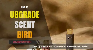 Enhance Your Scentbird Experience: Tips to Upgrade Your Fragrance Journey
