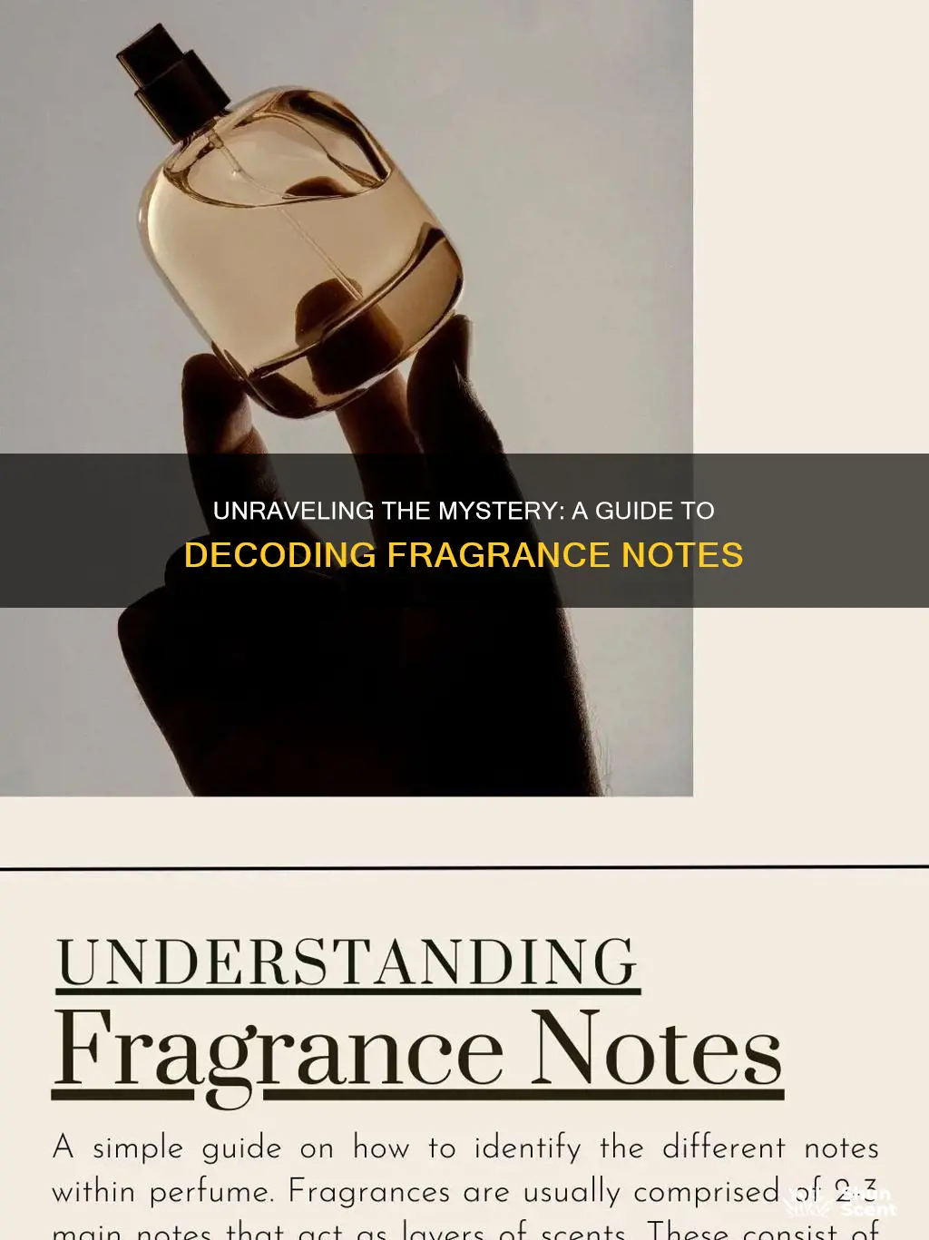 how to understand fragrance notes