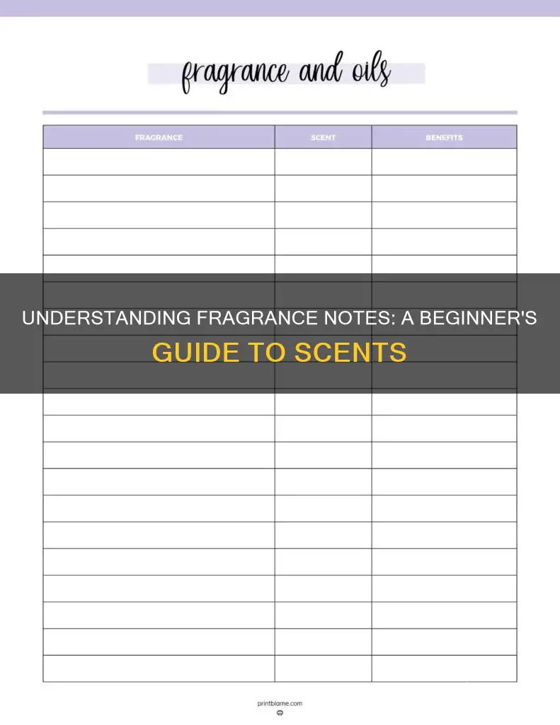 how to understand fragrance notes