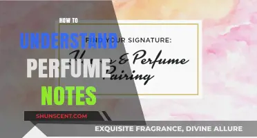Decoding Perfume Notes: A Beginner's Guide
