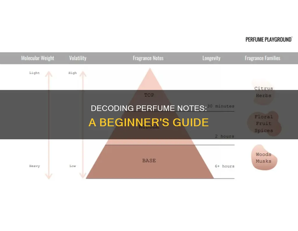how to understand perfume notes