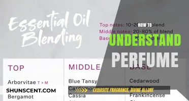 Understanding the Art of Perfume: A Beginner's Guide