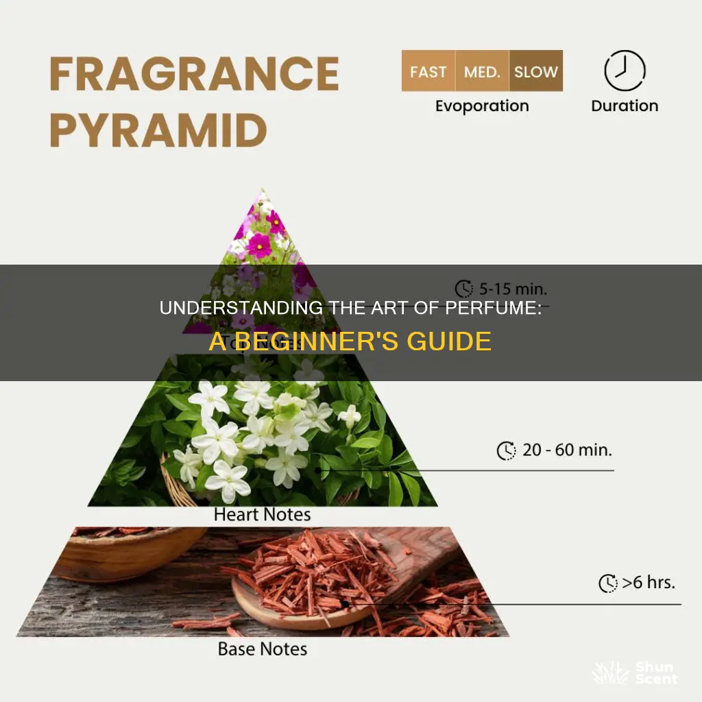 how to understand perfume