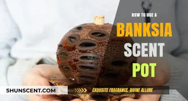 Enhance Your Space with a Banksia Scent Pot: A Guide