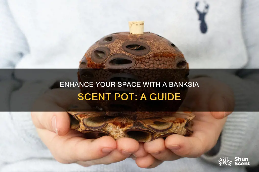 how to use a banksia scent pot