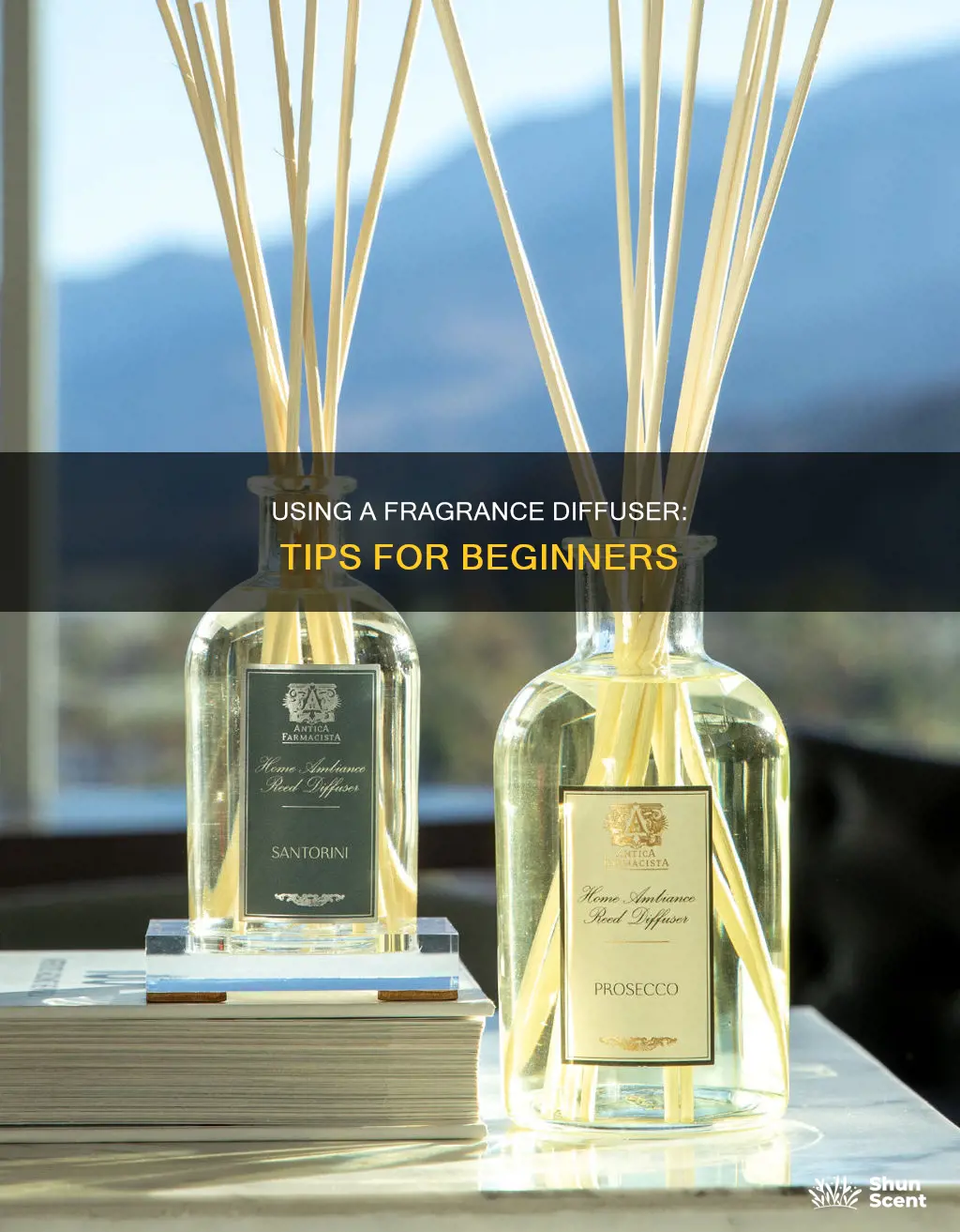 how to use a fragrance diffuser