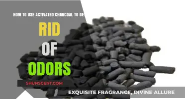 Freshen Up: Harnessing Activated Charcoal to Eliminate Odors