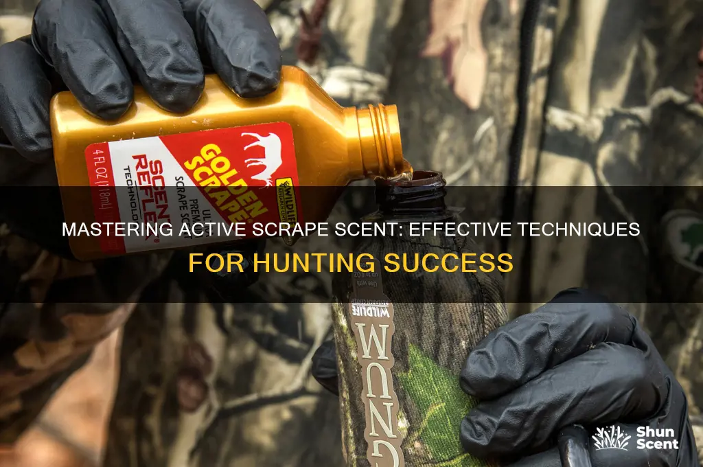 how to use active scrape scent