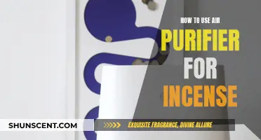Using Air Purifiers to Remove Incense Smoke and Odor