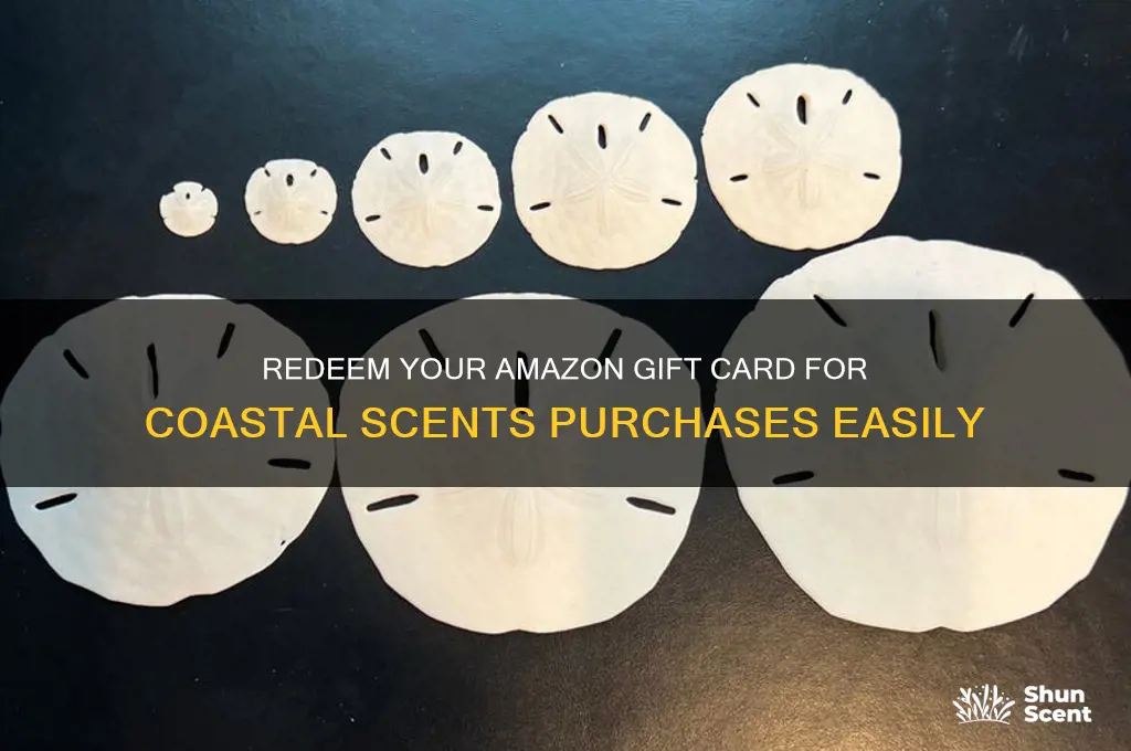 how to use amazon gift card on coastal scents