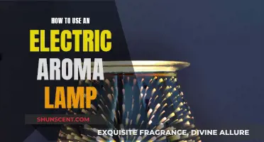 Aromatherapy 101: Using an Electric Aroma Lamp