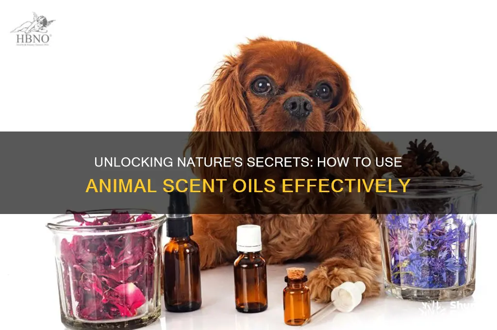 how to use animal scents oils