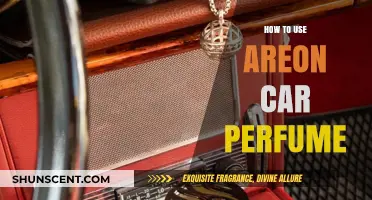 Easy Guide: Using Areon Car Perfume