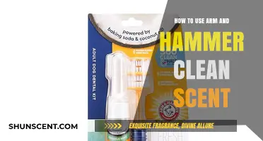 Freshen Your Home: Effective Ways to Use Arm & Hammer Clean Scent