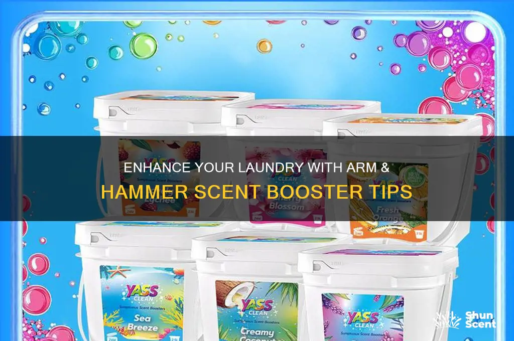 how to use arm and hammer scent booster