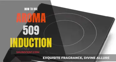 A Beginner's Guide: Using the Aroma 509 Induction Cooktop