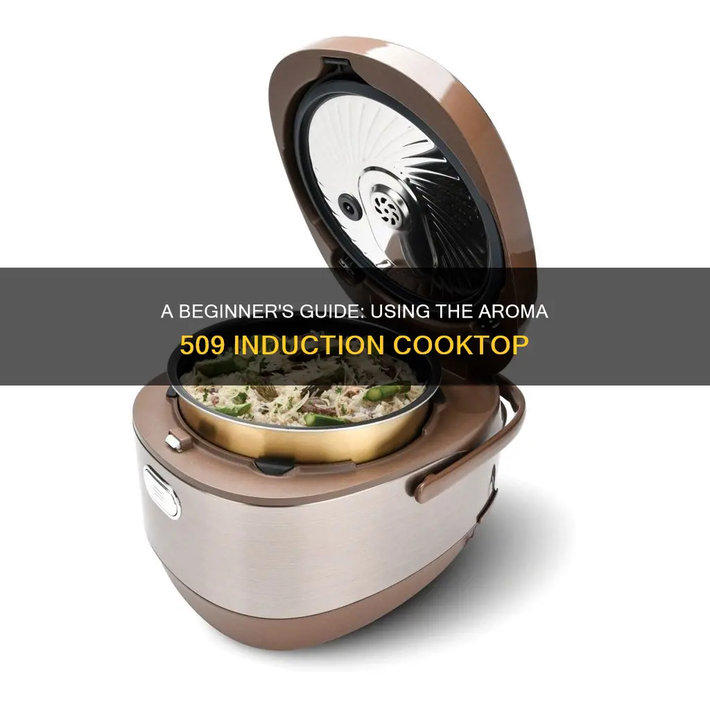 how to use aroma 509 induction