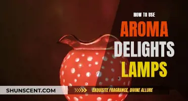 A Guide to Using Aroma Delights Lamps