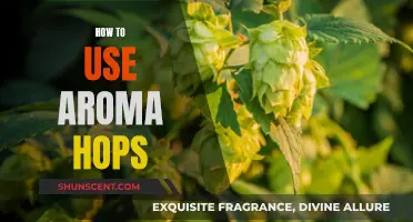 A Guide to Using Aroma Hops in Brewing