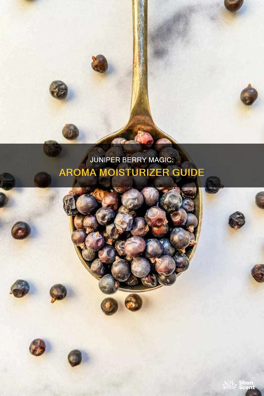 how to use aroma magic juniper berry moisturizer