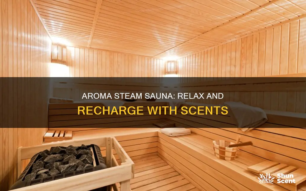 how to use aroma n steam sauna