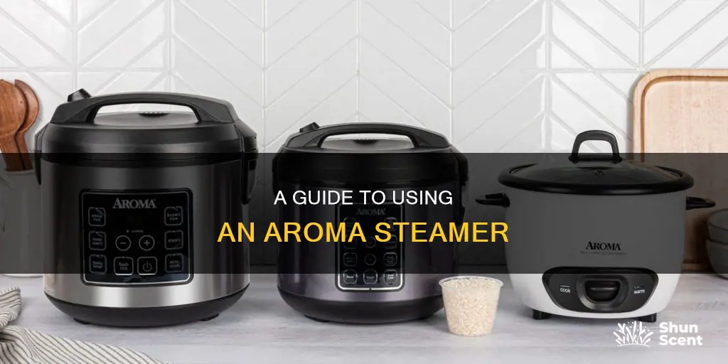 how to use aroma steamer