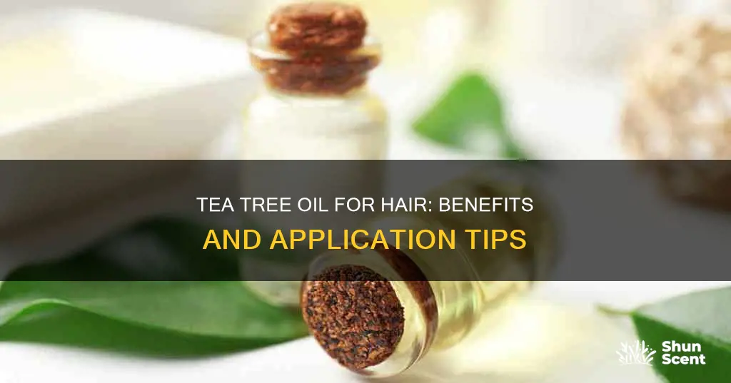 how to use aroma tea tree oil for hair