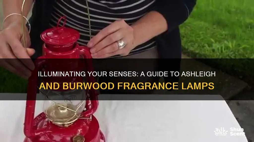 how to use ashleigh and burwood fragrance lamp