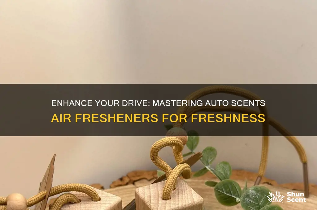 how to use auto scents air fresheners