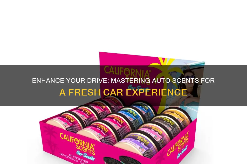 how to use auto scents